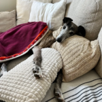 Grup Tècnic Veterinari - Vetàrea (Maçanet de la Selva)