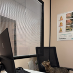 Clínica Veterinària Animàlia (Girona)