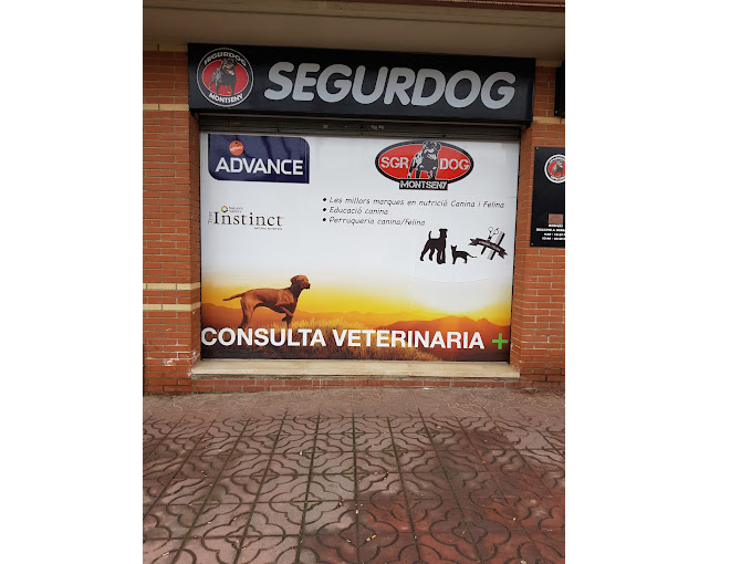 Aila - Superdog Montseny (Santa Maria de Palautordera)