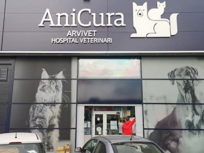 AniCura Arvivet Hospital Veterinario (Terrassa)