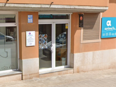 Anima'ls Clínica Veterinaria (Moià)