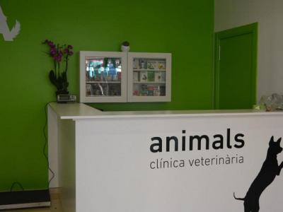 Animals Clínica Veterinària (Esparraguera)