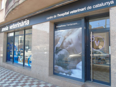 Anoia Veterinària (Esparraguera)