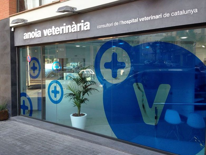 Anoia Veterinària (Igualada)