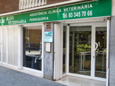 Assis Veterinària Sant Andreu (Barcelona)