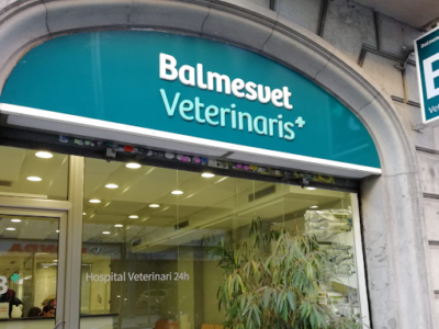 Balmesvet Veterinaris Hospital 24 H. (Barcelona)
