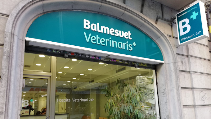 Balmesvet Veterinaris Hospital 24 H. (Barcelona)