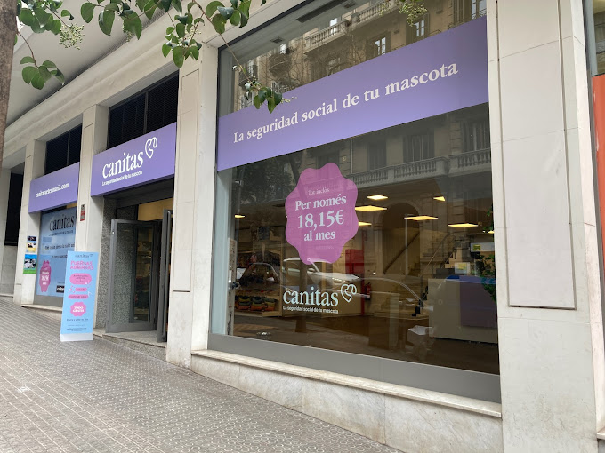 Canitas Veterinària Muntaner (Barcelona)
