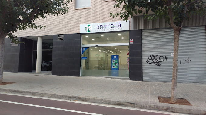 Centre Veterinari Animalia (Badalona)