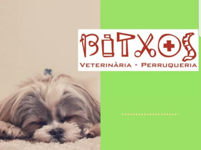 Centre Veterinari Bitxos (Castellar del Vallès)