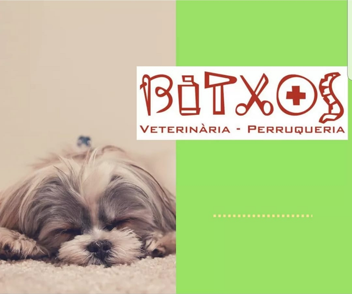 Centre Veterinari Bitxos (Castellar del Vallès)