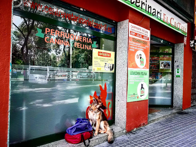 Centre Veterinari El Castell (Castelldefels)