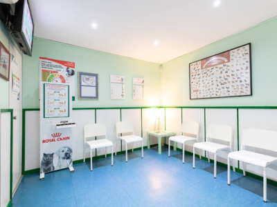 Centre Veterinari El Masnou (El Masnou)