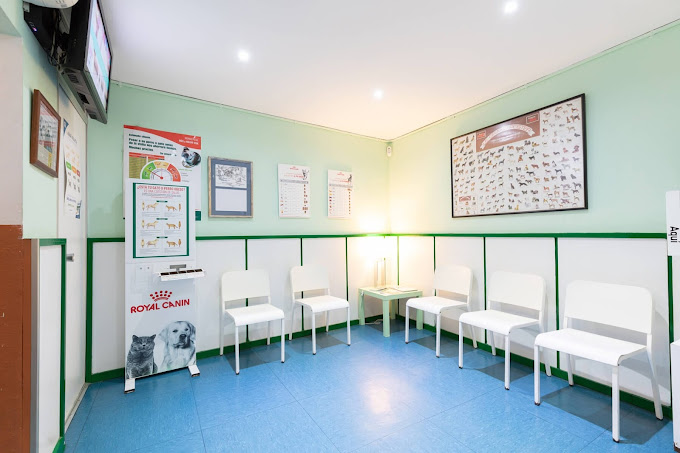 Centre Veterinari El Masnou (El Masnou)