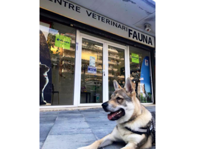 Centre Veterinari Fauna (Barcelona)