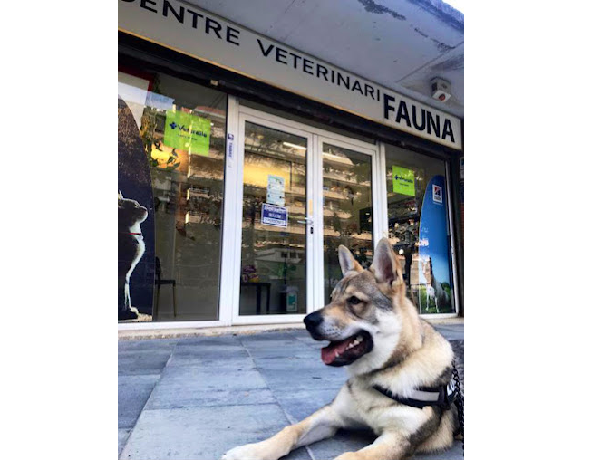 Centre Veterinari Fauna (Barcelona)