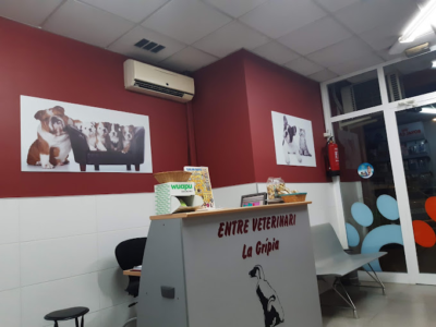 Centre Veterinari La Grípia (Terrassa)
