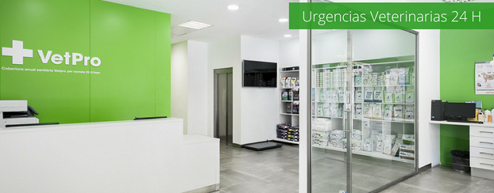 Centre Veterinari Provença (Barcelona)