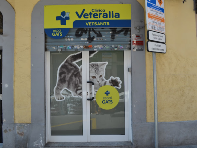 Centre Veterinari Vetsants (Barcelona)