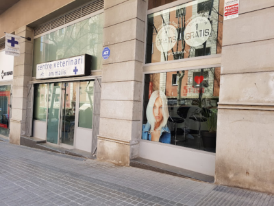 Centro Veterinario Animalis (Barcelona)