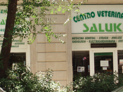 Centro Veterinario Saluki (Barcelona)