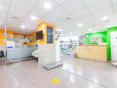 Clínica Veterinària de L´Hospitalet (L'Hospitalet de Llobregat)