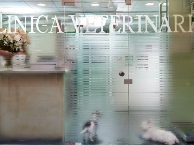 Clínica Veterinària Poblenou (Barcelona)