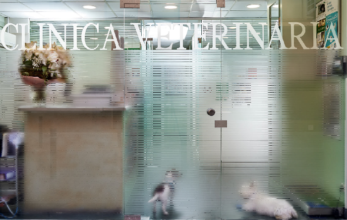 Clínica Veterinària Poblenou (Barcelona)