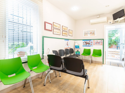 Clínica Veterinària Rocaberti (Barcelona)