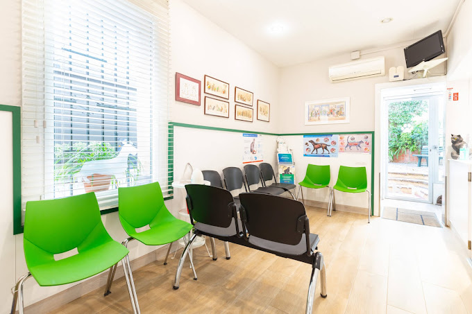 Clínica Veterinària Rocaberti (Barcelona)