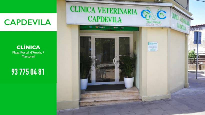 Clínica Veterinària Capdevila (Martorell)