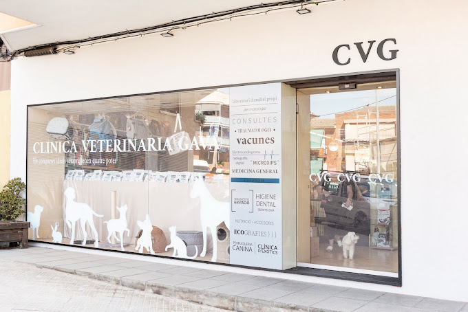 Clínica Veterinària Gavà (Gavà)