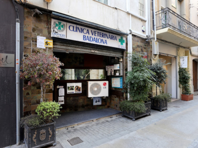 Clínica Veterinària Badalona (Badalona)