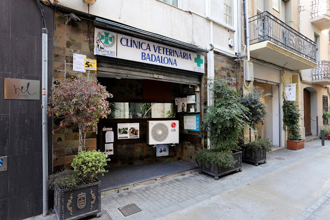 Clínica Veterinària Badalona (Badalona)
