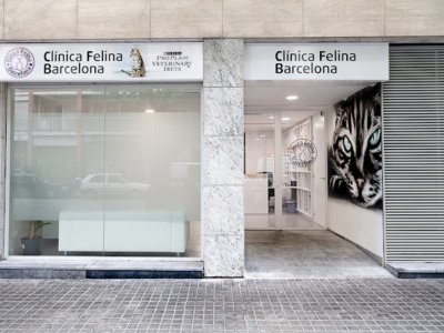 Clínica Felina Barcelona (Barcelona)