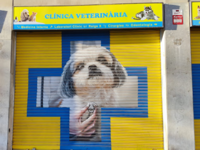 Clínica Veterinària Ciutadella (Barcelona)