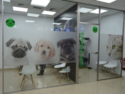 Clínica Veterinària Més Que Gossos (Santa Coloma de Gramenet)