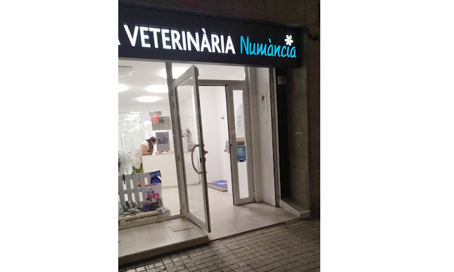 Clínica Veterinària Numància (Barcelona)