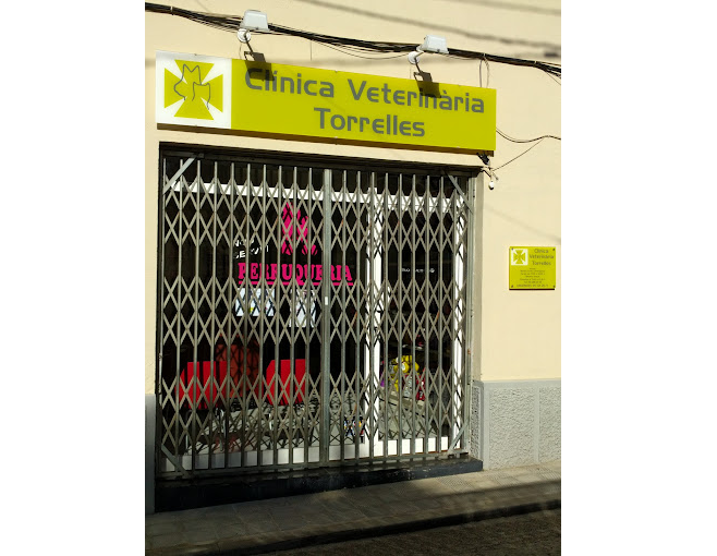 Clínica Veterinària Torrelles (Torrelles de Llobregat)