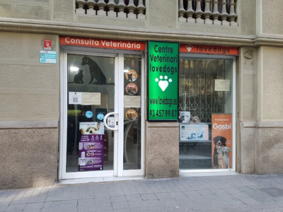 Consulta Veterinària Lovedogs (Barcelona)