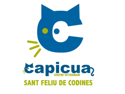 Consultori Capicua (Sant Feliu de Codines)