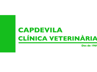 Consultori Torrent de Llops (Martorell)