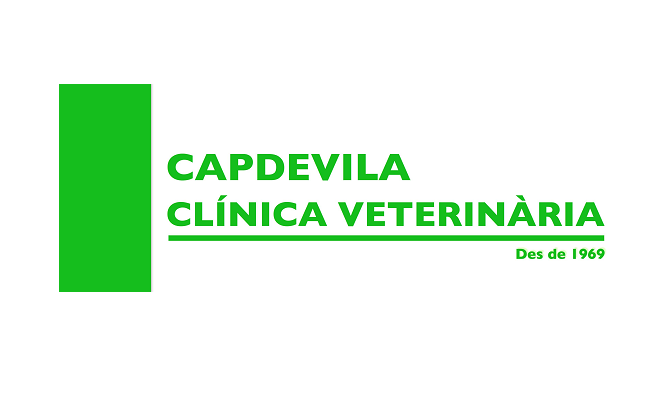 Consultori Torrent de Llops (Martorell)