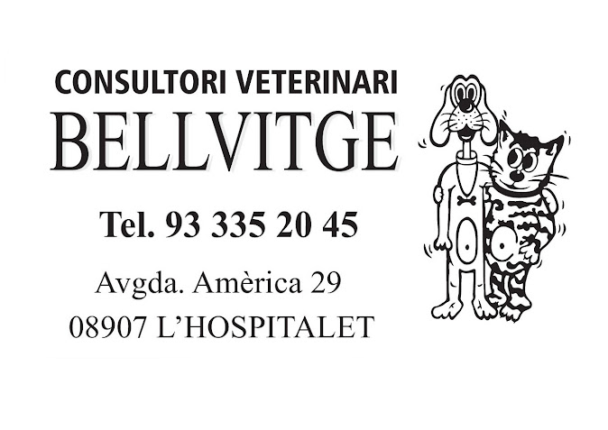 Consultori Veterinari Bellvitge (L'Hospitalet de Llobregat)