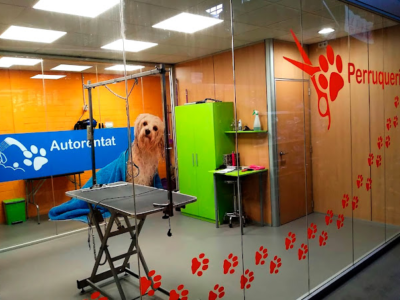 Consultori Veterinari Calvet (Igualada)