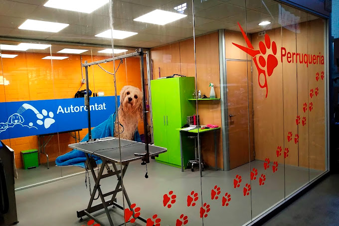 Consultori Veterinari Calvet (Igualada)