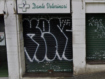 Dante Veterinari (Barcelona)