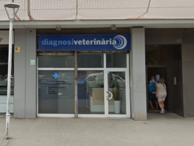 Diagnosi Veterinària (Cornellà de Llobregat)