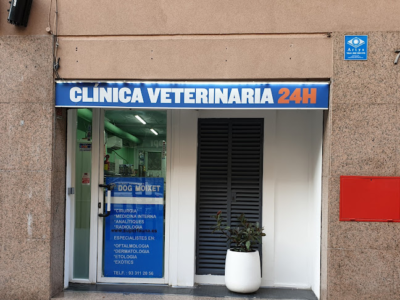 Dog Moixet (Barcelona)