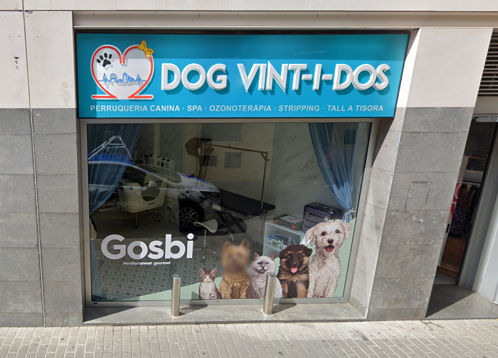 Dog Vint-i-Dos (Granollers)